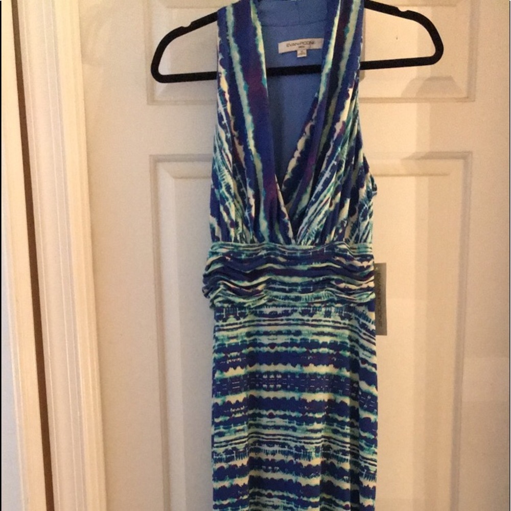 NWT  Evan Picone MaxI dress